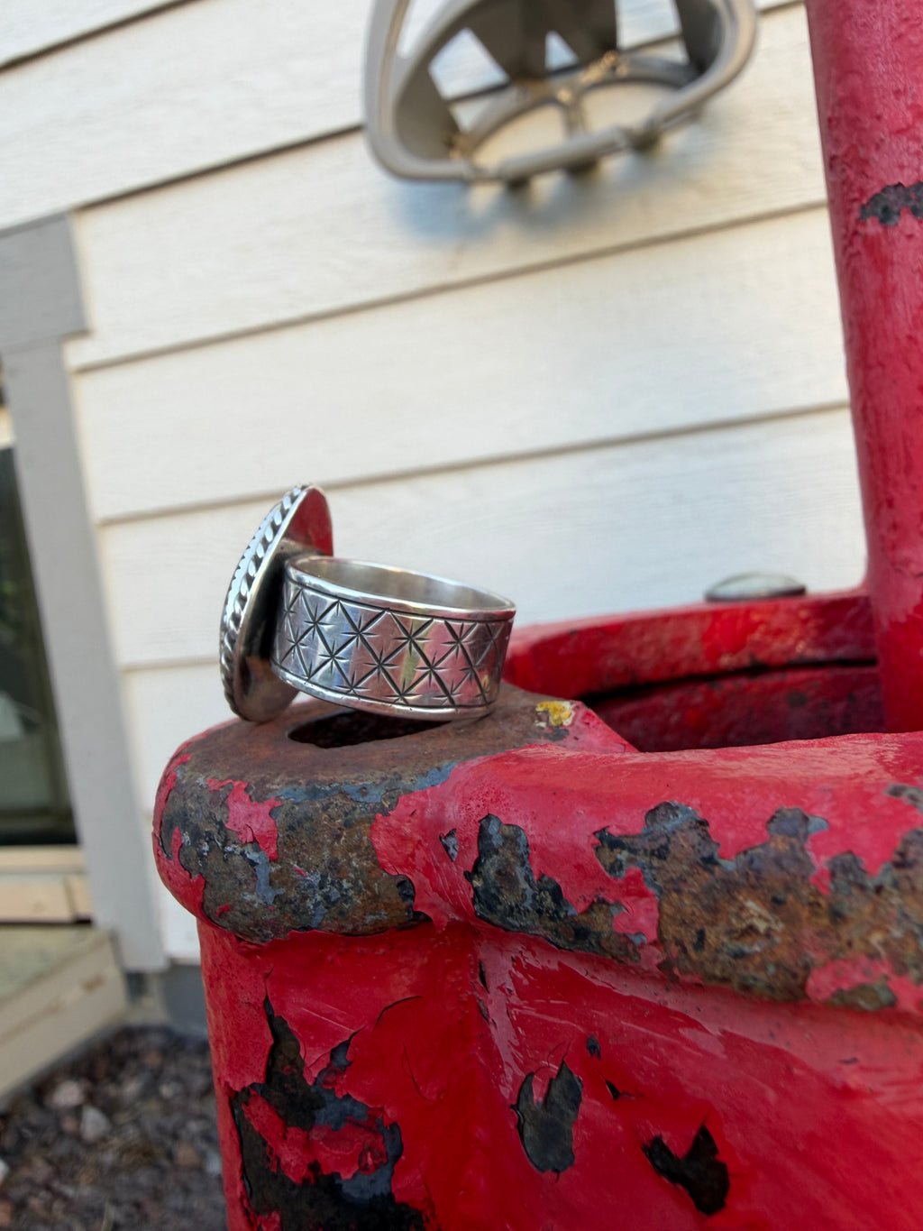 Wild Horse Ring #2