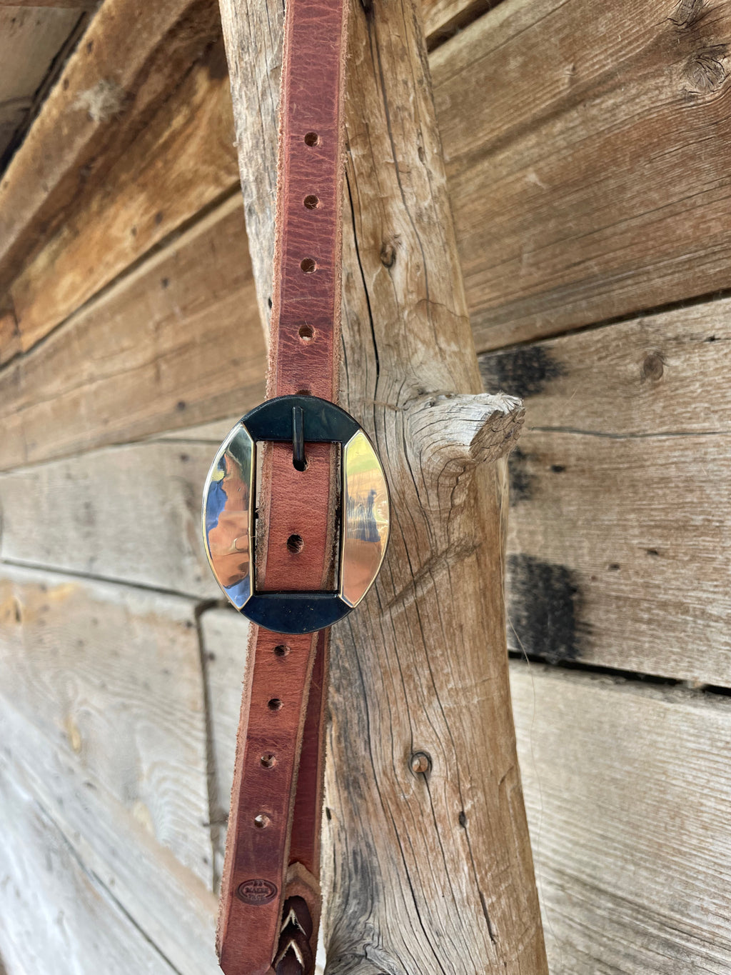 Split Ear Headstall with Brass Buckle