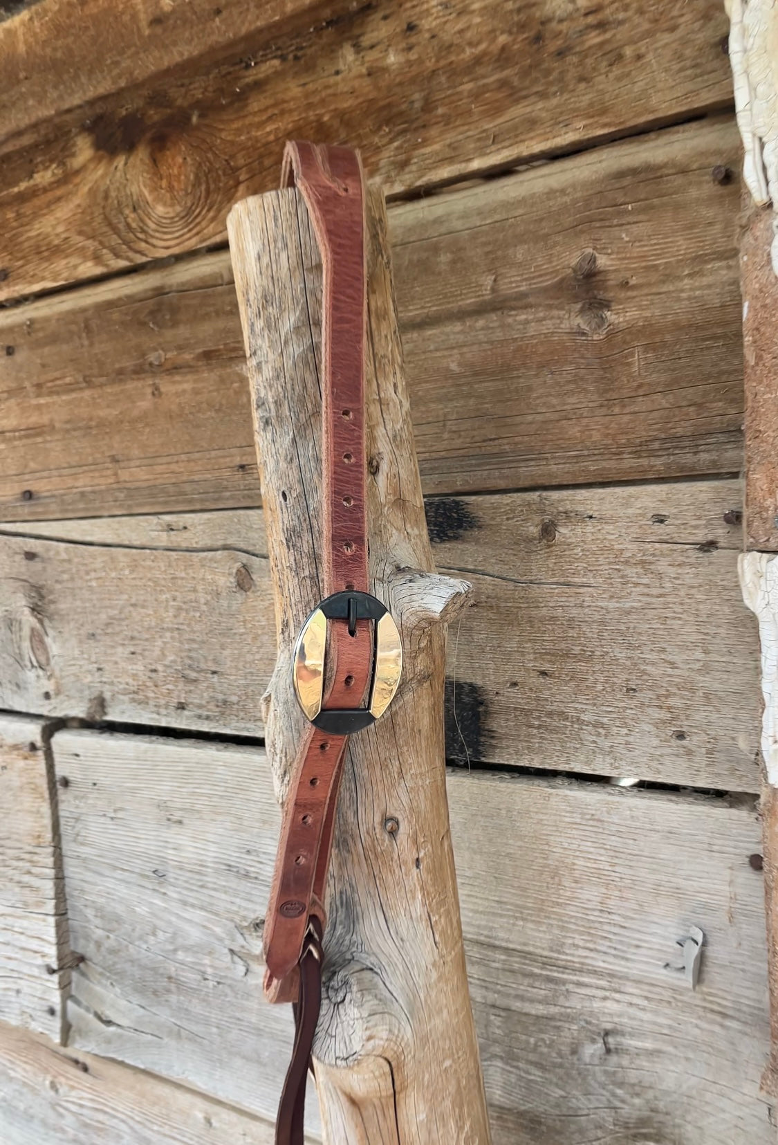 Split Ear Headstall with Brass Buckle